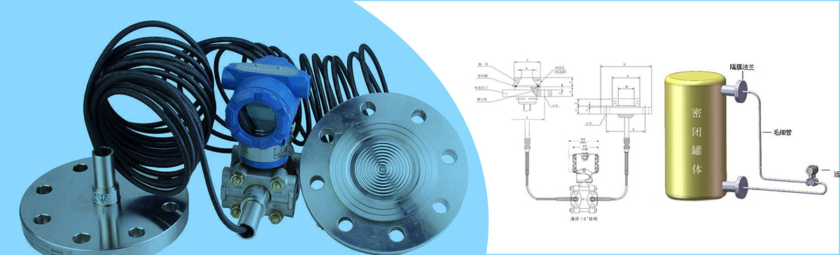 雙法蘭液位變送器